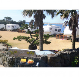 [2019] 제주 서귀포 서…